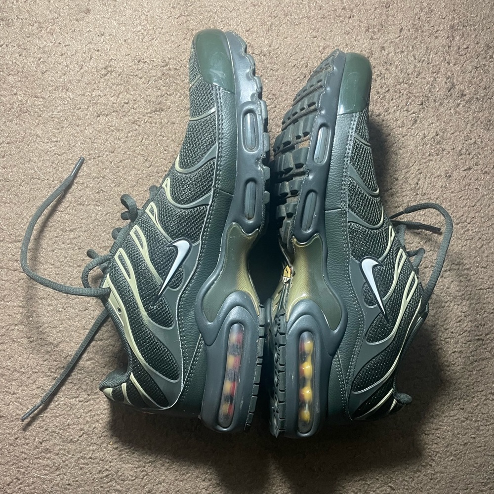 Nike Air Max Plus View 3